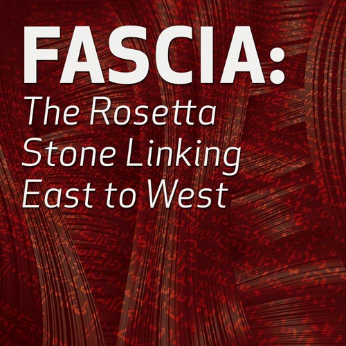 Fascia