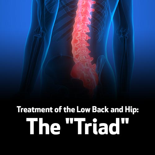 Treatment of the Low Back and Hip: The Triad