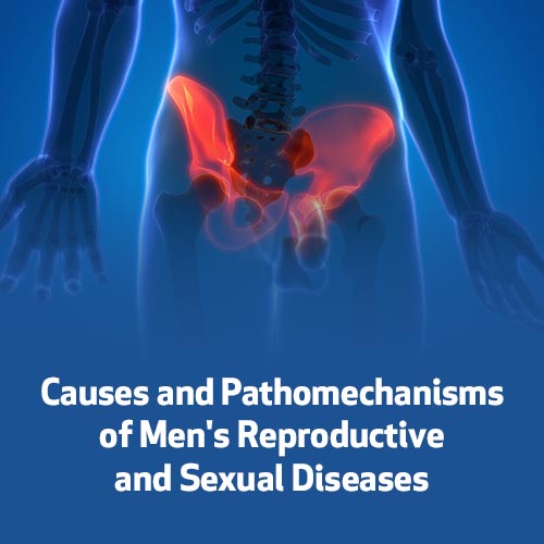Causes and Pathomechanisms of Men's Reproductive and Sexual Diseases