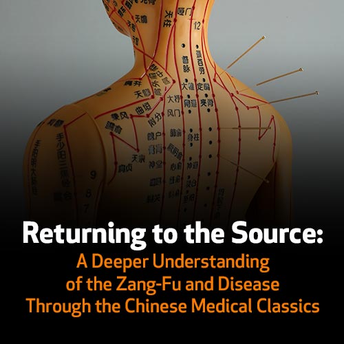 Returning to the Source: A Deeper Understanding of the Zang-Fu and Disease Through the Chinese Medical Classics