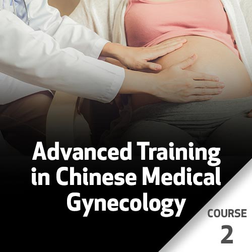 Advanced Training in Chinese Medical Gynecology - Course 2