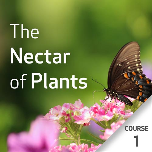 The Nectar of Plants: Essential Oils and Chinese Medicine Series - Course 1