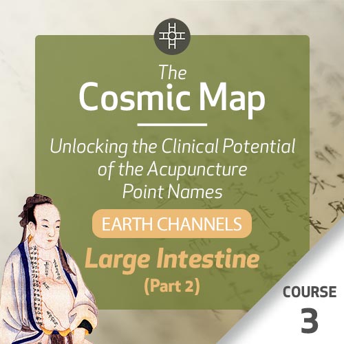 The Cosmic Map: Unlocking the Clinical Potential of the Acupuncture Point Names, Part 1: Earth Channels - Course 3