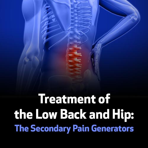Treatment of the Low Back and Hip: The Secondary Pain Generators