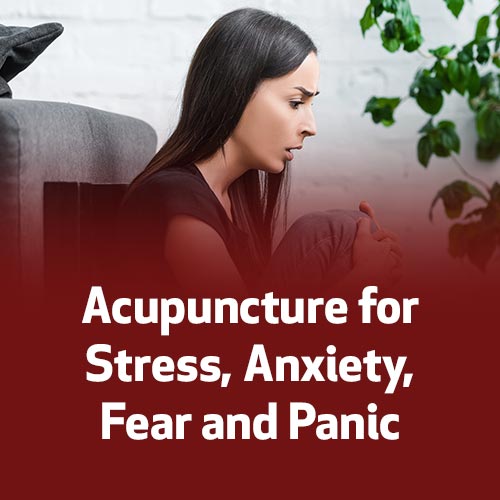 Acupuncture for Stress, Anxiety, Fear and Panic