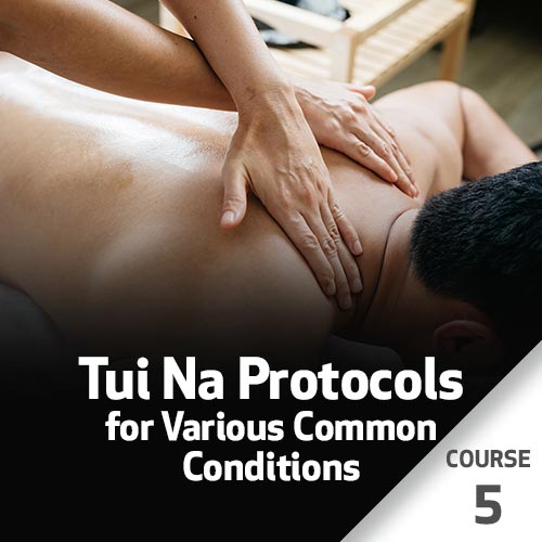 Tui Na Protocols for Various Common Conditions - Course 5