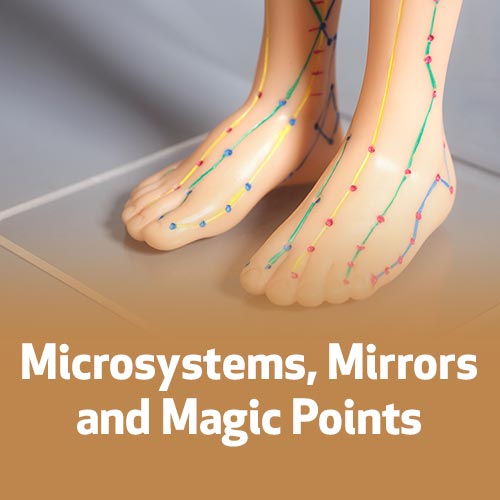 Microsystems, Mirrors and Magic Points