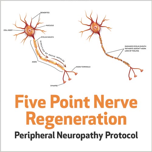 Five Point Nerve Regeneration Peripheral Neuropathy  Protocol