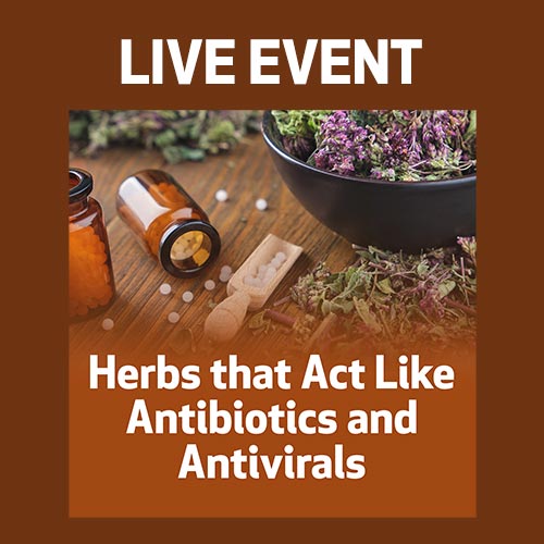 LIVE EVENT - Herbs that Act Like Antibiotics and Antivirals