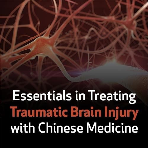 Essentials in Treating Traumatic Brain Injury with Chinese Medicine