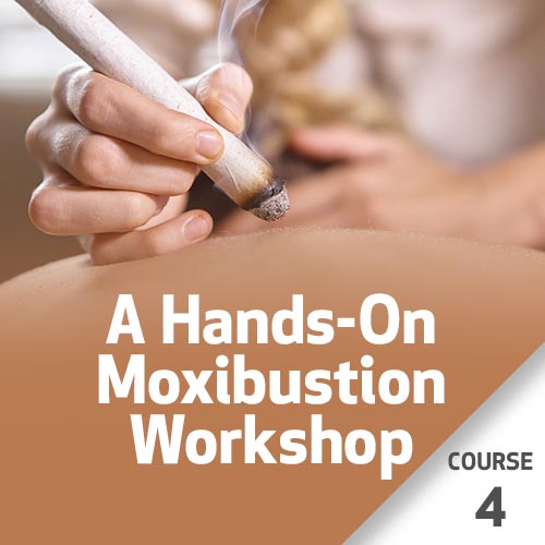 A Hands-On Moxibustion Workshop - Course 4