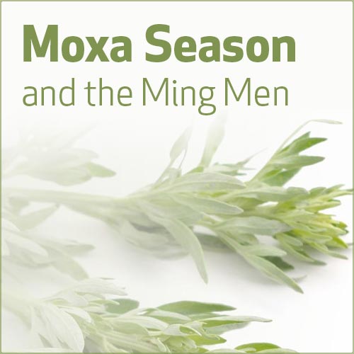 Moxa Season and the Ming Men