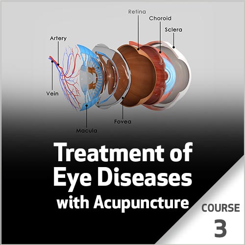 Treatment of Eye Diseases with Acupuncture - Course 3