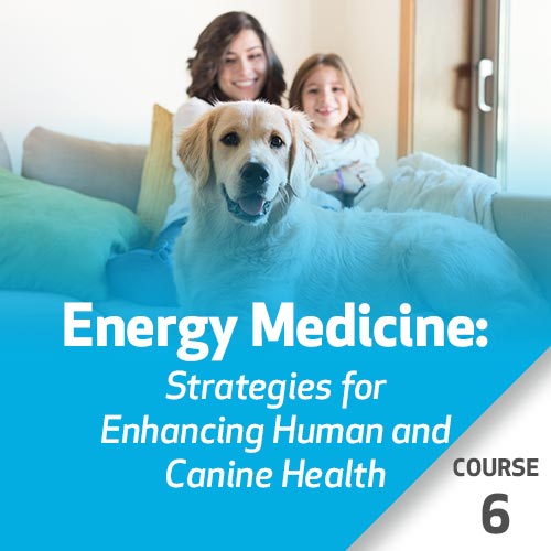 Energy Medicine: Strategies for Enhancing Human and Canine Health - Course 6