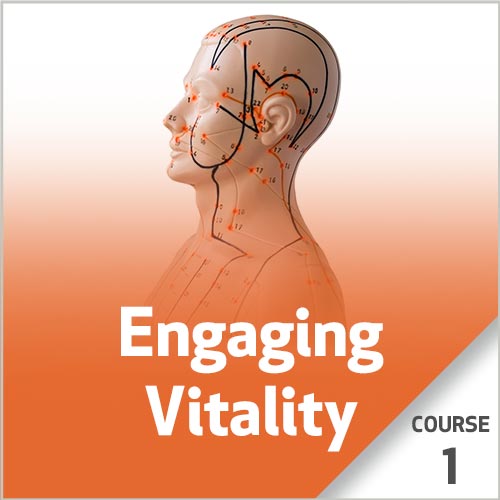 Engaging Vitality - Course 1