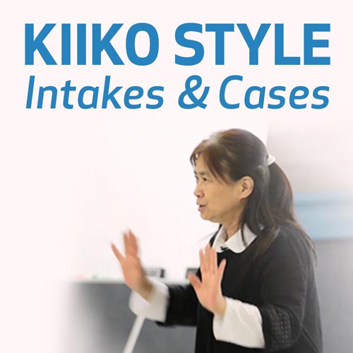 Kiiko Style Intakes and Cases