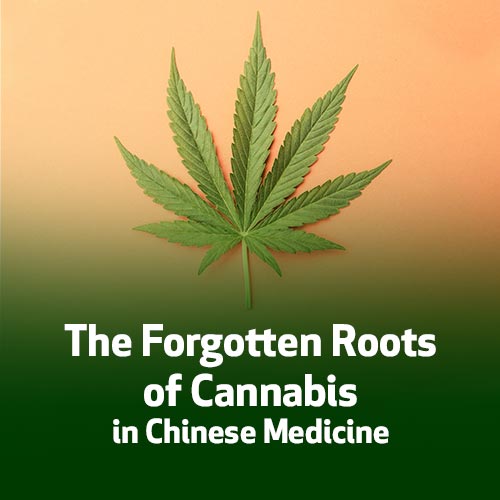 The Forgotten Roots of Cannabis in Chinese Medicine