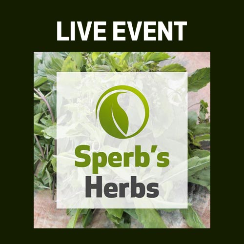 LIVE EVENT - Sperb's Herbs - Valerian
