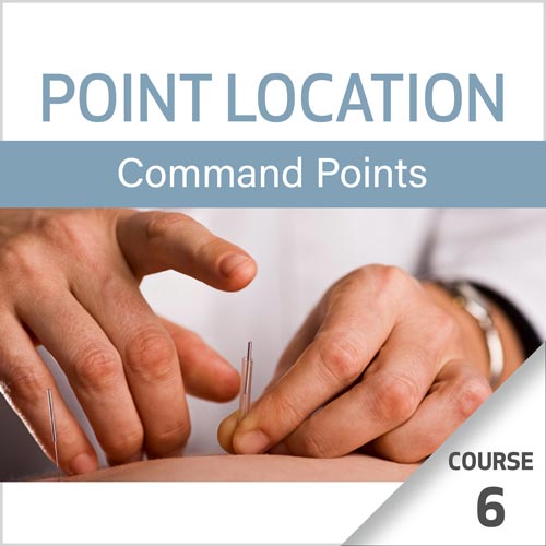 Point Location Series: Command Points - Course 6