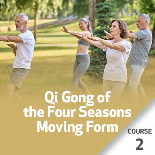 Qi Gong of the Four Seasons - Moving Form - Summer