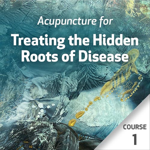 Acupuncture for Treating the Hidden Roots of Disease - Course 1