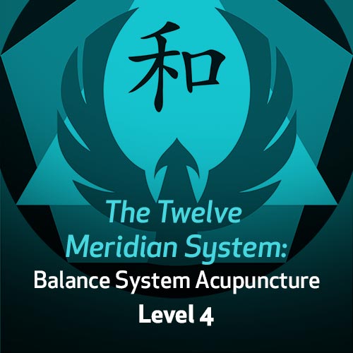 The Twelve Meridian System: Balance System Acupuncture - Level 4