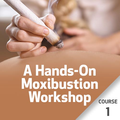 A Hands-On Moxibustion Workshop - Course 1