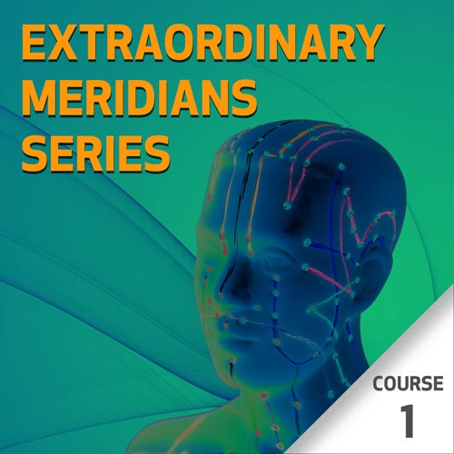 Extraordinary Meridians - Course 1