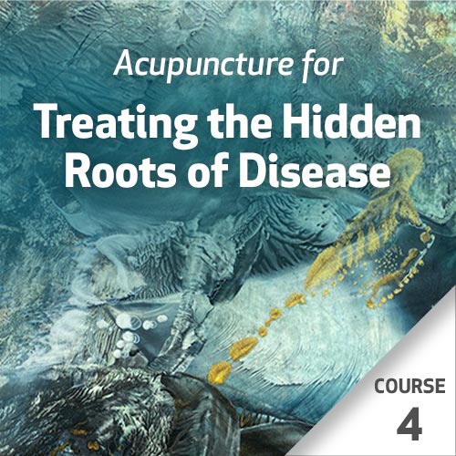 Acupuncture for Treating the Hidden Roots of Disease - Course 4