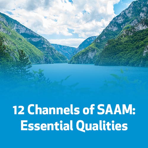 12 Channels of SAAM: Essential Qualities