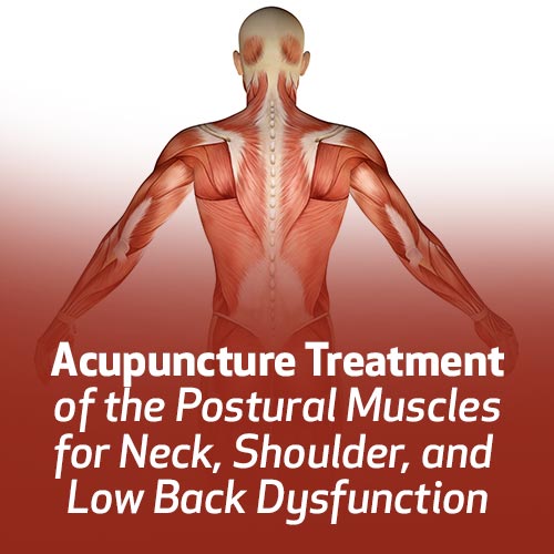 Acupuncture Treatment of the Postural Muscles for Neck, Shoulder, and Low Back Dysfunction