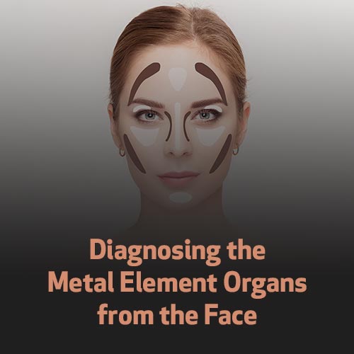 Diagnosing the Metal Element Organs from the Face