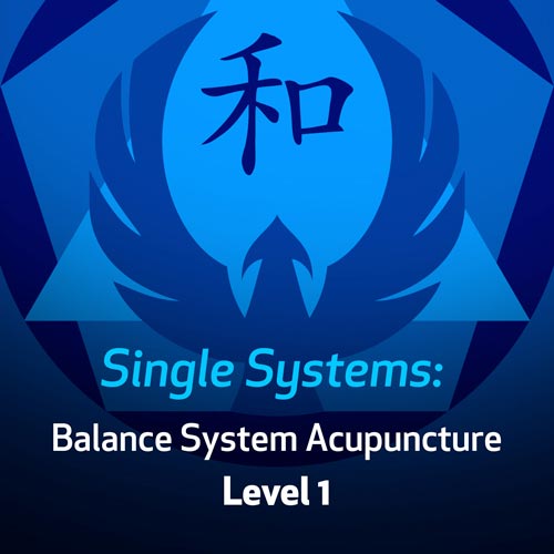 Single Systems: Balance System Acupuncture - Level 1