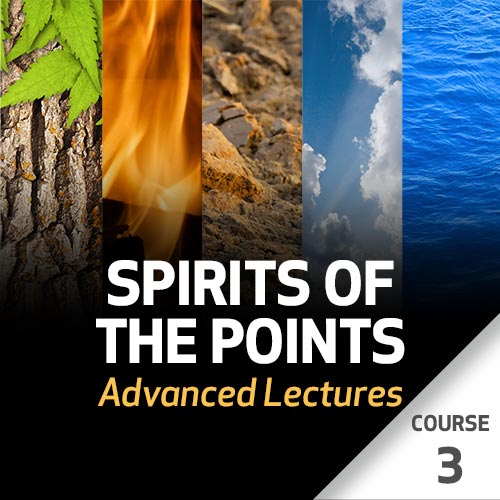 Spirits of the Points: Advanced Lectures - Course 3