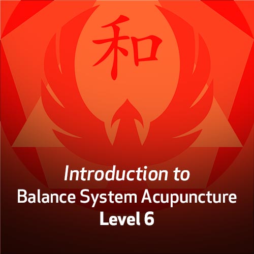 Introduction to Balance System Acupuncture - Level 6